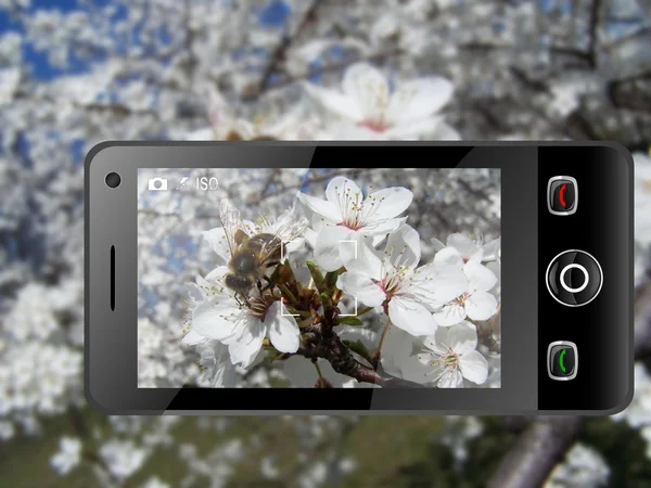 Våren i mobiltelefon — Stockfoto