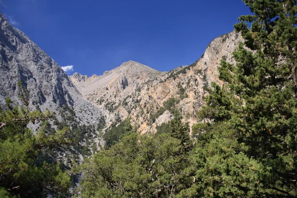 stock image High mountains landscape in summer