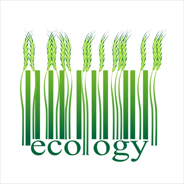 Zöld gabonafélék, ökológia vonalkód — Stock Vector