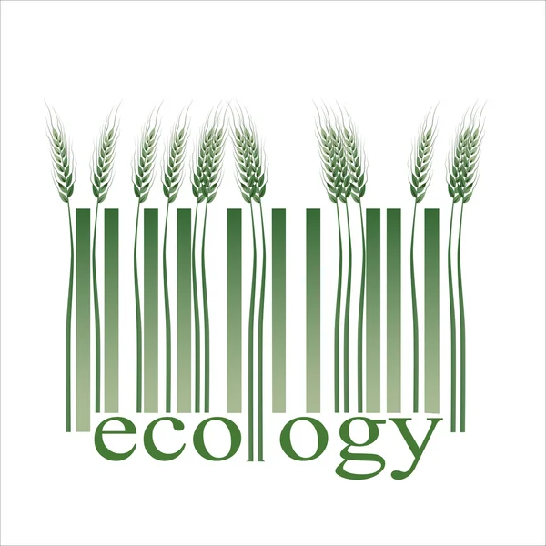 Groene granen, ecologie barcode — Stockvector