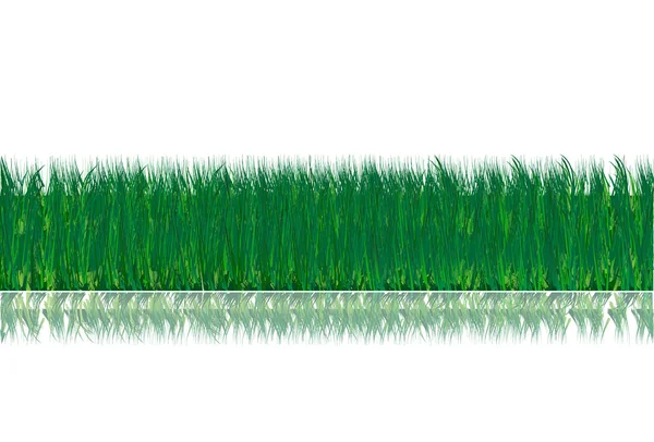 Gräs med blommor — Stock vektor
