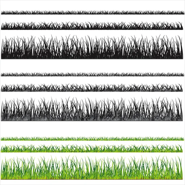 Sfondi erba, vettore isolato su sfondo bianco e gr — Vettoriale Stock