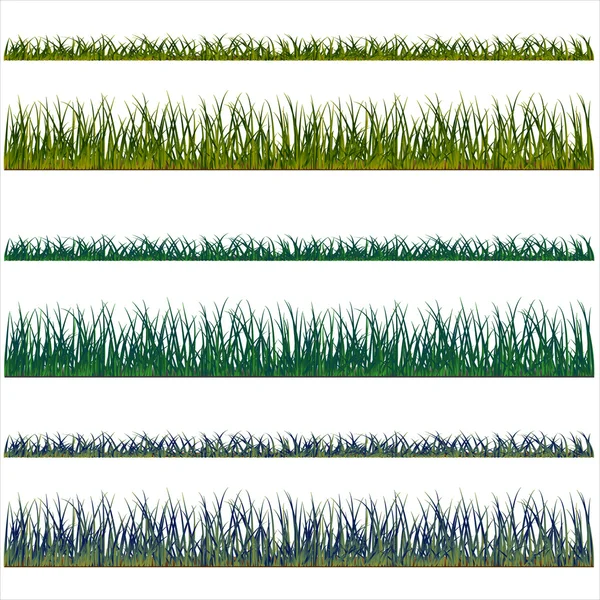 Fondos de hierba, vector aislado sobre fondo blanco y gr — Vector de stock