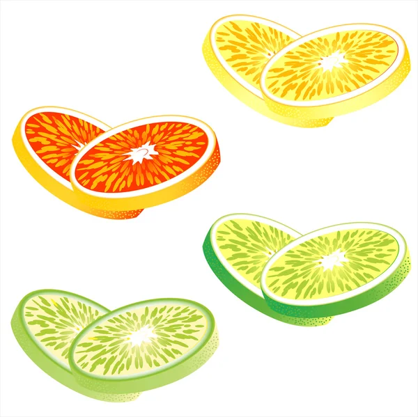 Rebanadas de cítricos: naranja, pomelo rojo, limón y lima — Vector de stock