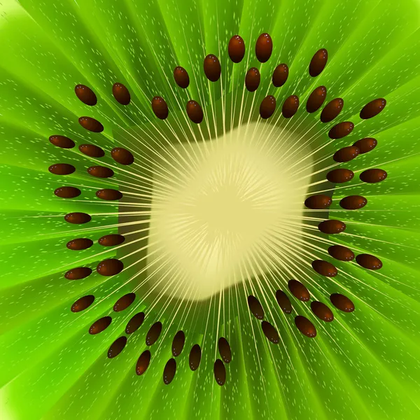 Fruta vectora kiwi — Vetor de Stock