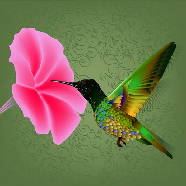 緑の kalibri の鳥 — ストックベクタ