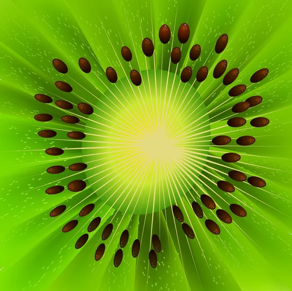 Vektor kiwifrukt — Stock vektor