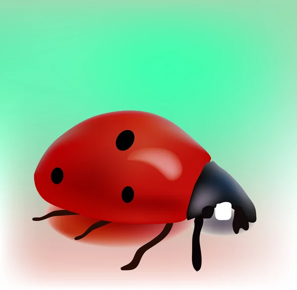 Ladybug vettoriale — Vettoriale Stock