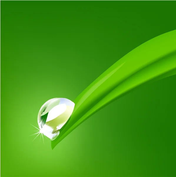 Krople wody na zielonej trawie — Wektor stockowy