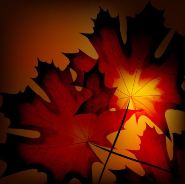 Autumn maple leaf clipart