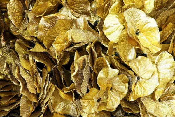 Gold leaves — Stock Photo, Image