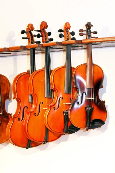 四个小提琴 2 — 图库照片