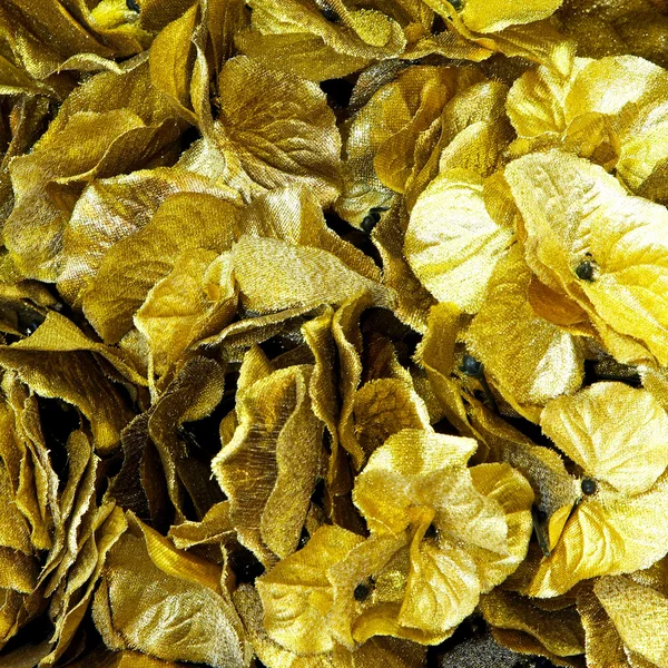 Hojas de oro — Foto de Stock