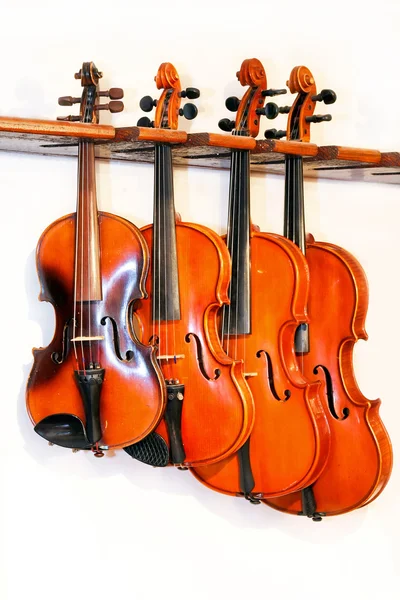 Čtyři housle — Stock fotografie