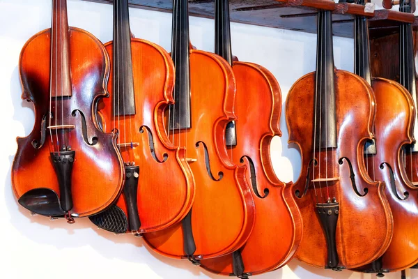 Loja de violino — Fotografia de Stock