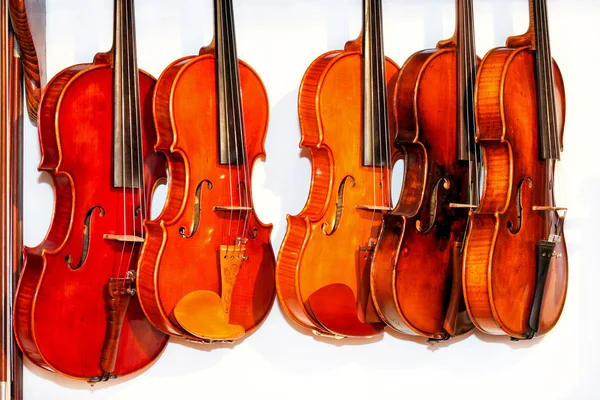Скрипки — стоковое фото