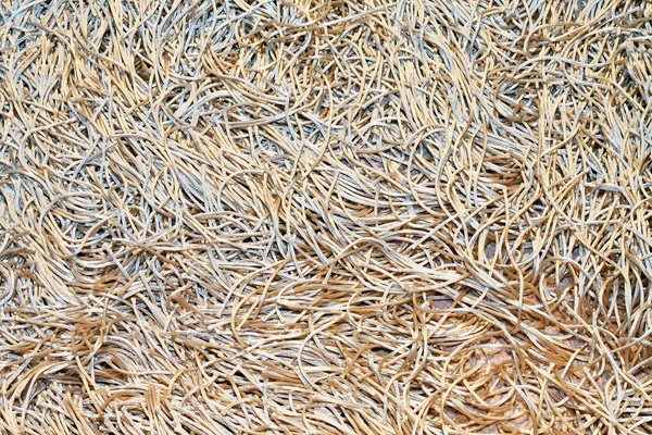 스파게티 카펫 — 스톡 사진