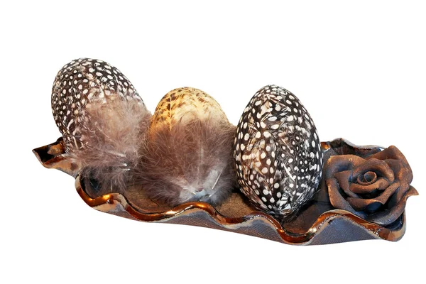 Egg feather — Stock Photo, Image