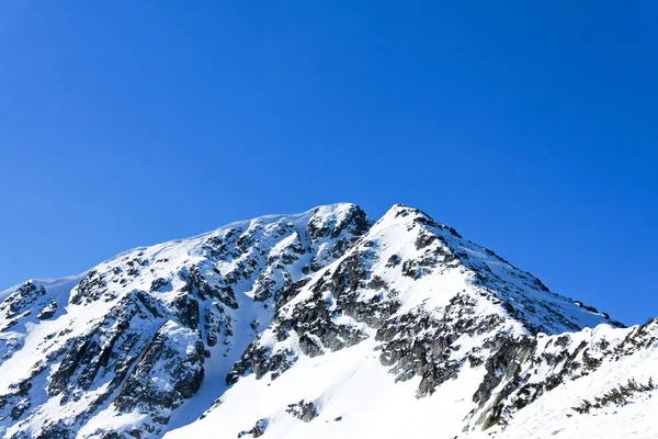 Pico azul — Fotografia de Stock