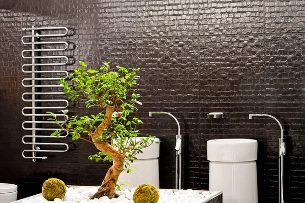 Casa de banho Bonsai — Fotografia de Stock