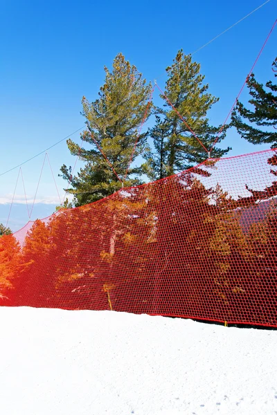 Ski net — Stock Photo, Image