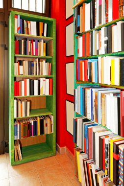 Book shelves clipart