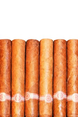 Cigars isolated clipart