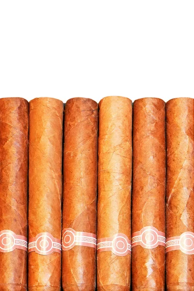 stock image Cigars isolated
