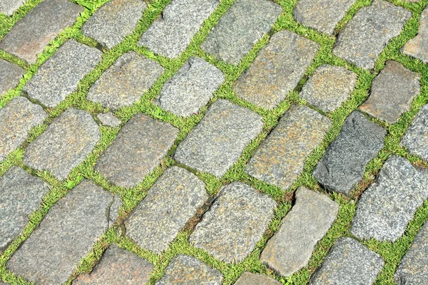 Травяной тротуар — стоковое фото