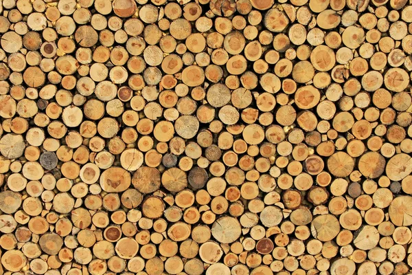 Dinding kayu — Stok Foto