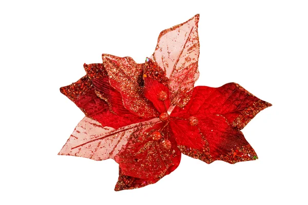 Izole kırmızı yaprak — Stok fotoğraf