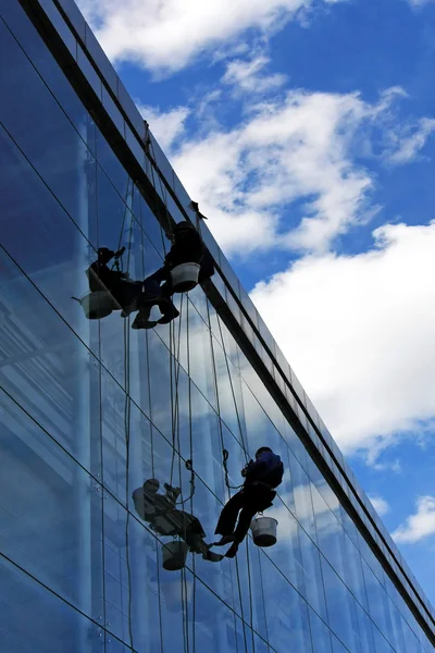 stock image Windows cleaners