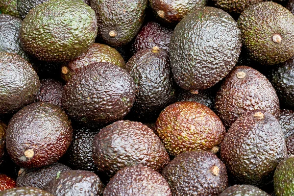 Aguacate marrón —  Fotos de Stock