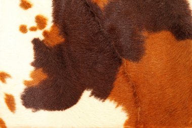 Cowhide clipart