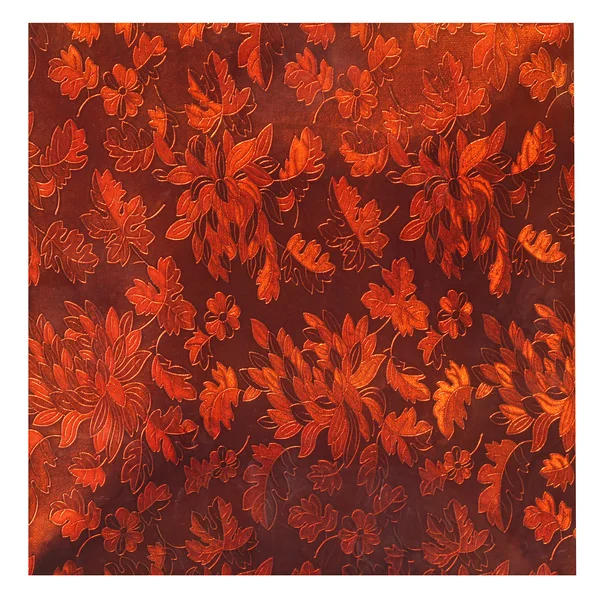 オレンジ色の紅葉 — ストック写真