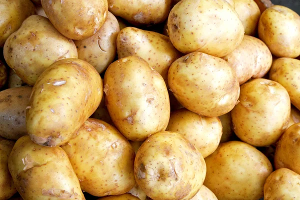 stock image Potato horizontal