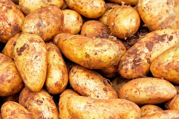 Potatoes with dirt — Stock Photo, Image
