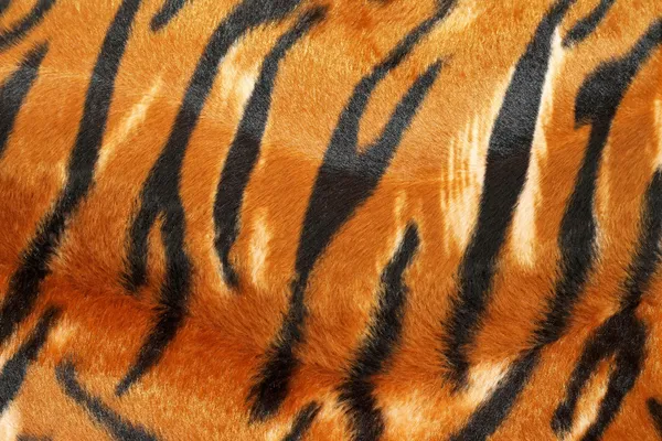 Cuir de tigre — Photo