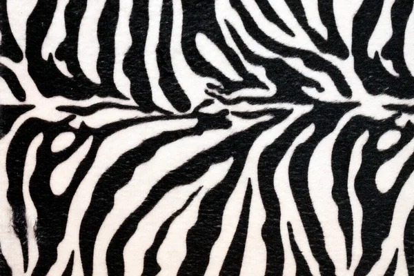 Zebra nascondere — Foto Stock