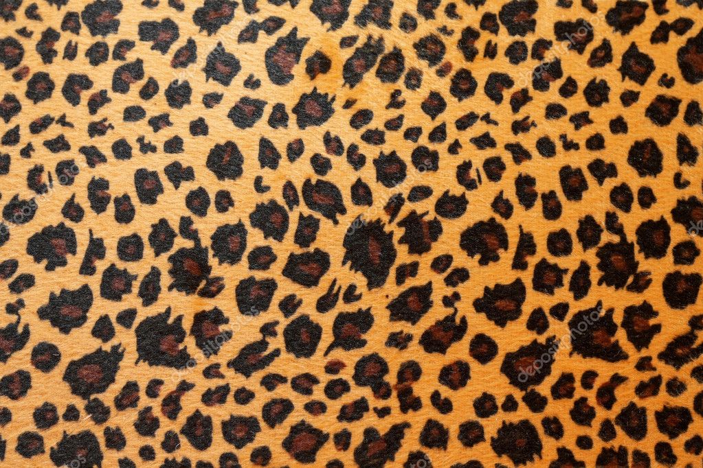 Jaguar hide — Stock Photo © Baloncici #3204645