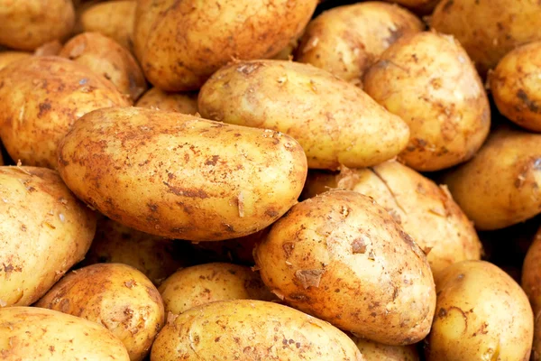Big sweet potatoes — Stock Photo, Image