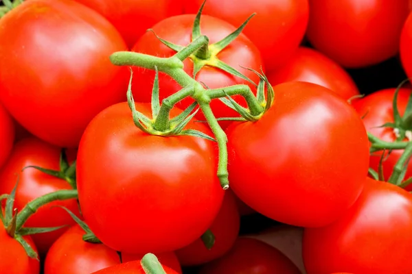 Big tomato — Stock Photo, Image