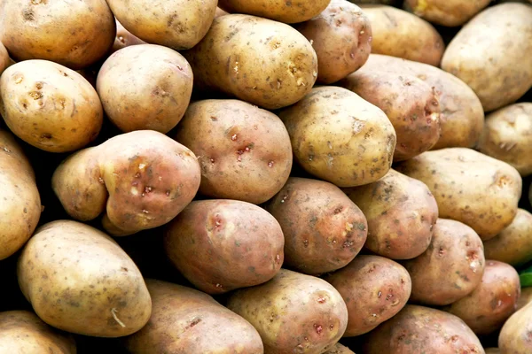 O grămadă de cartofi — Fotografie, imagine de stoc
