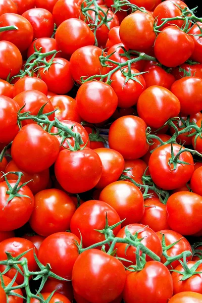 토마토 한 덩어리 — 스톡 사진