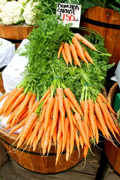 Bunched carrots — Stock Photo, Image