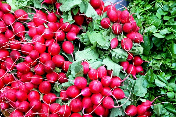 Bunched radishes — Stock Photo, Image