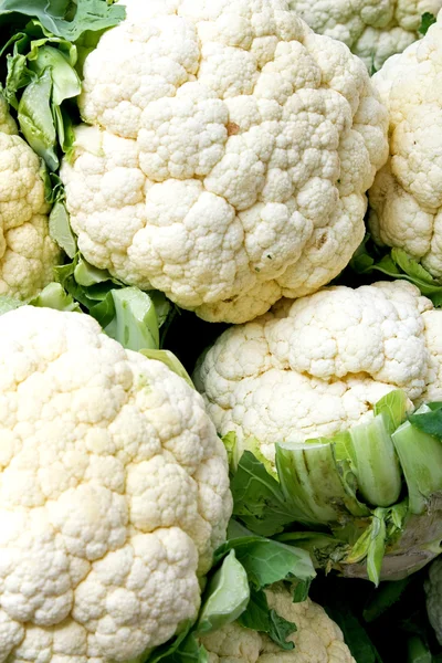 Cauliflowers — Stock fotografie