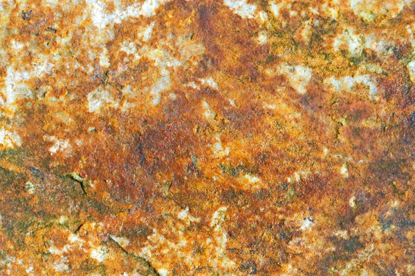 Piedra mohosa — Foto de Stock