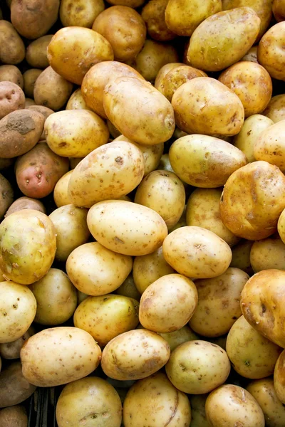Картопля вертикальні — стокове фото