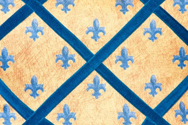 Королевская текстура — стоковое фото
